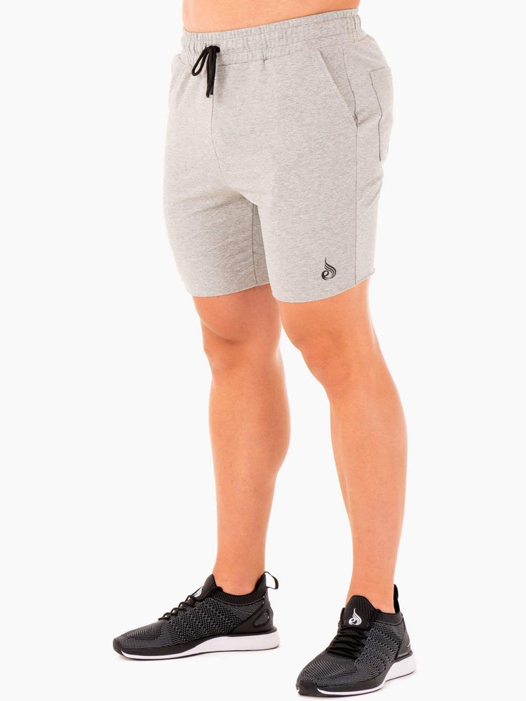 Ryderwear Base Gym Shorts Grå | LCS-184273