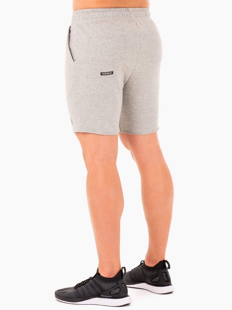 Ryderwear Base Gym Shorts Grå | LCS-184273