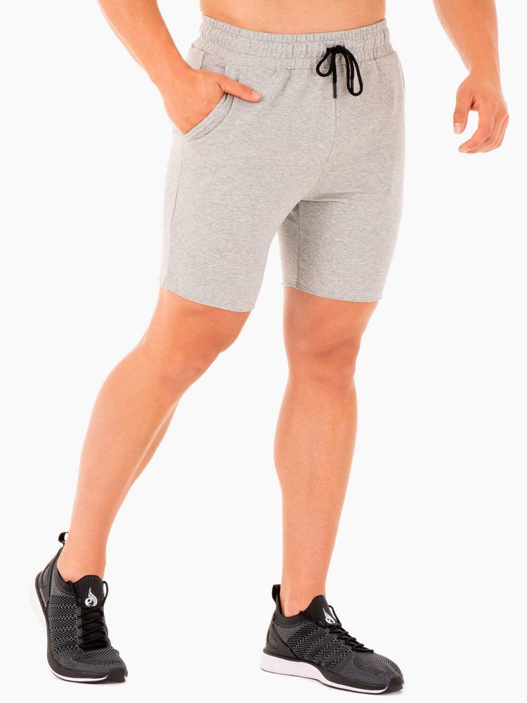 Ryderwear Base Gym Shorts Grå | LCS-184273