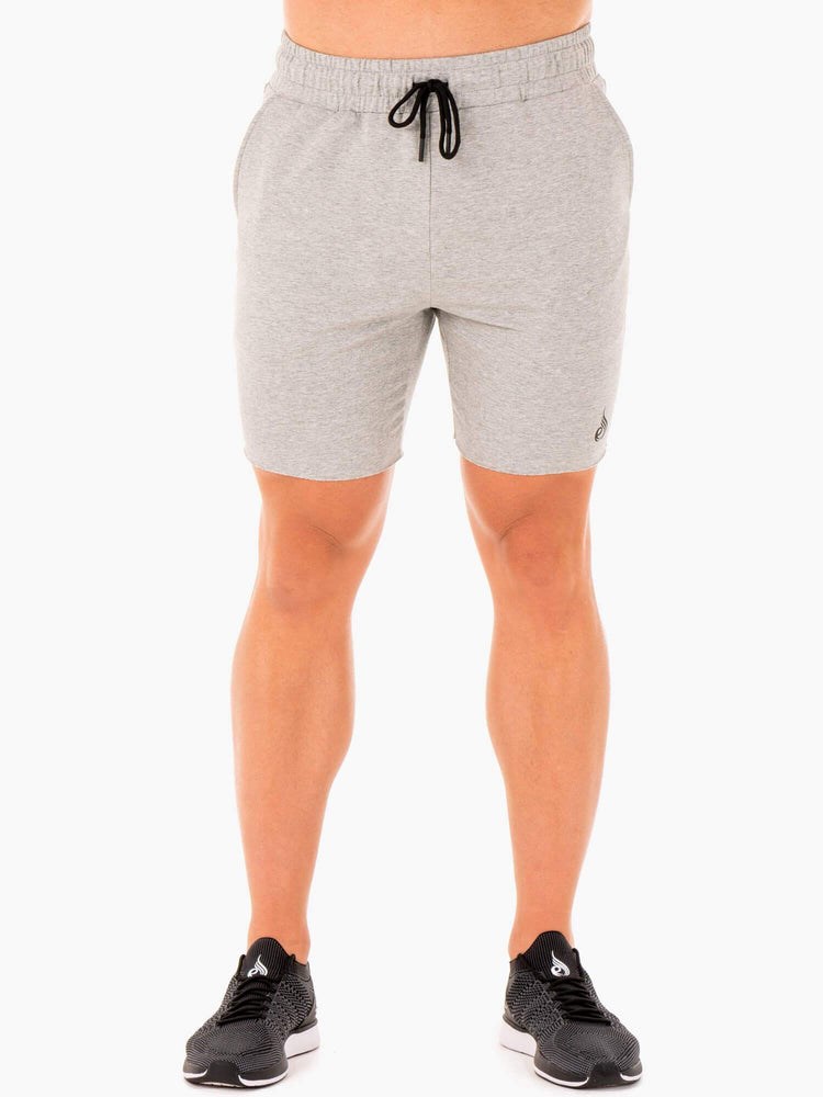 Ryderwear Base Gym Shorts Grå | LCS-184273