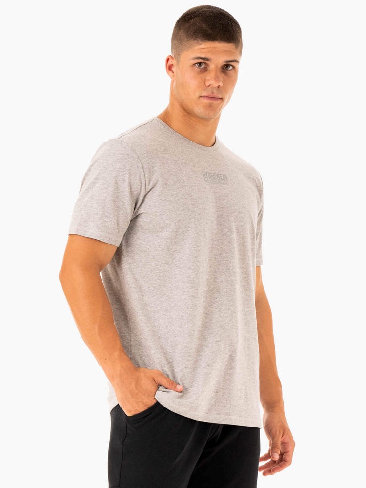 Ryderwear Limitless T-Shirt Grå | OTQ-930517