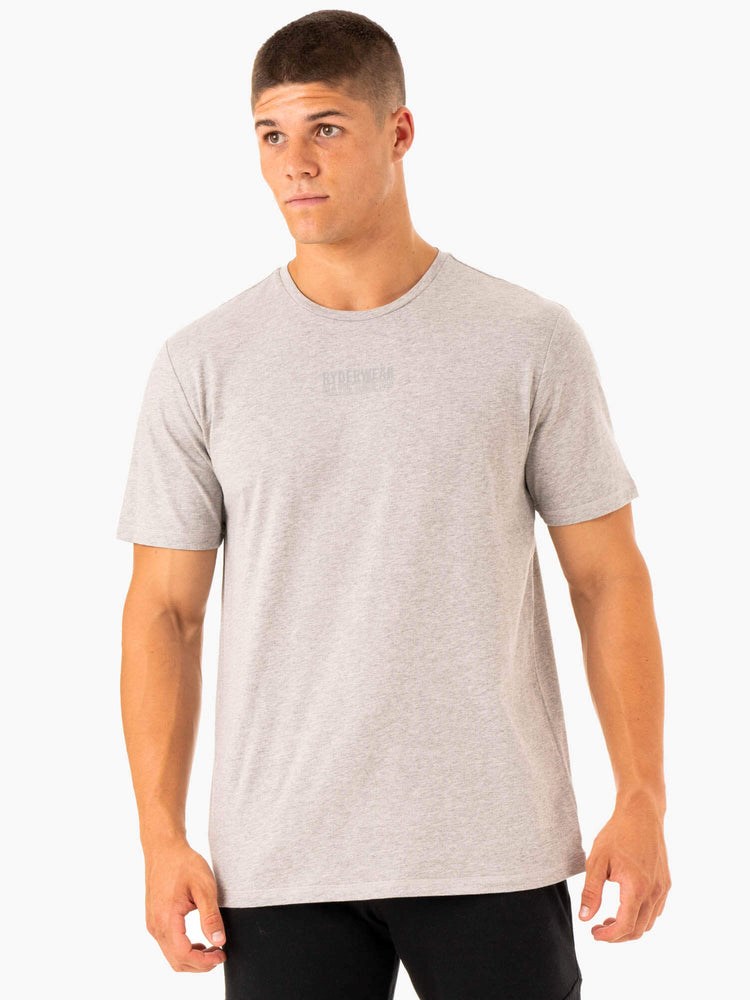 Ryderwear Limitless T-Shirt Grå | OTQ-930517