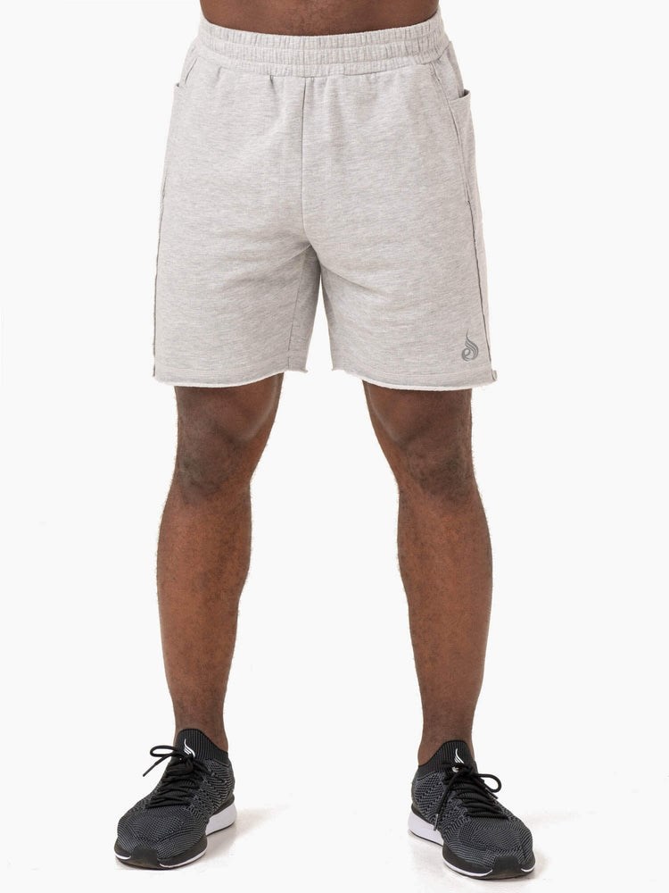 Ryderwear Pursuit Track Shorts Ljusgrå | GUY-693402